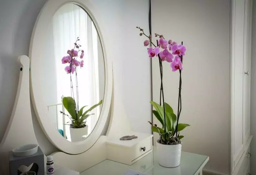 Bio B&b Vivere La Vita