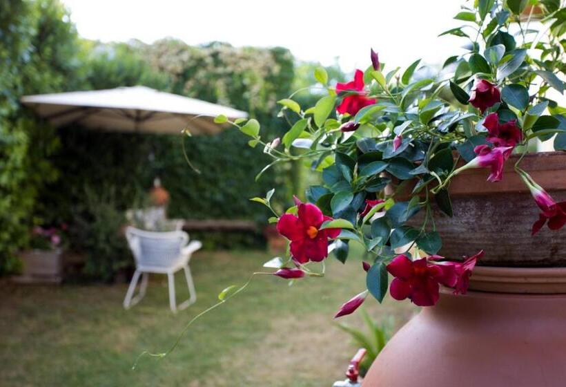 Bio B&b Vivere La Vita