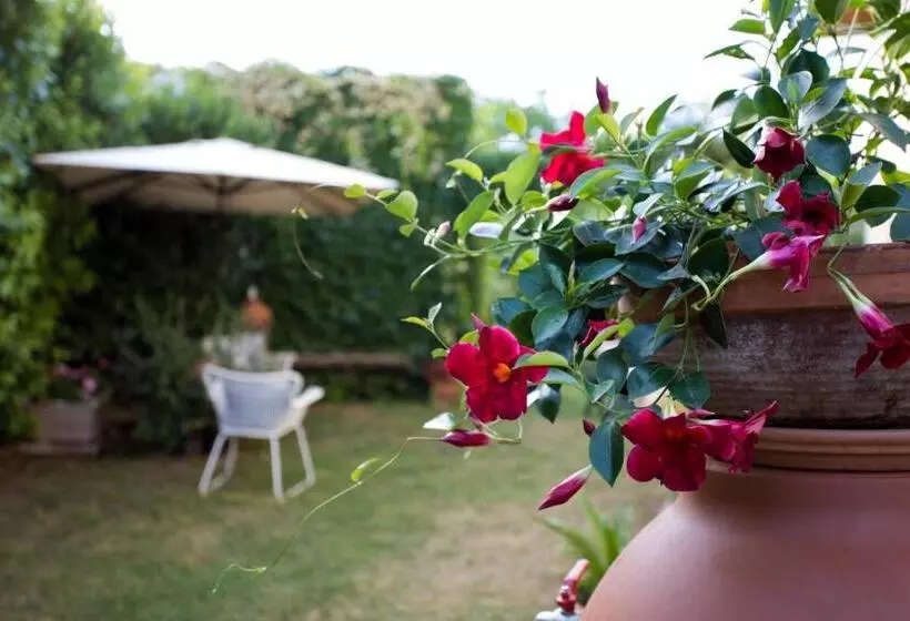 Bio B&b Vivere La Vita