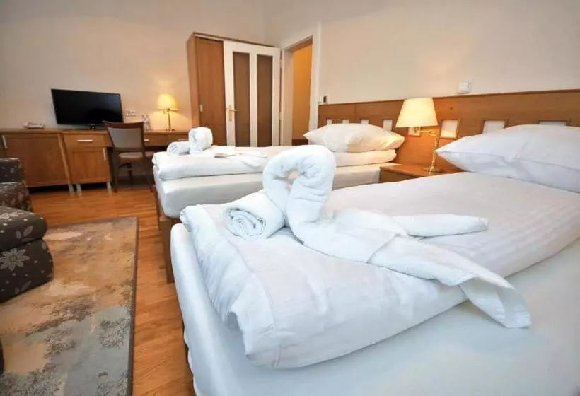 ホテル Pod Zeleným Dubem