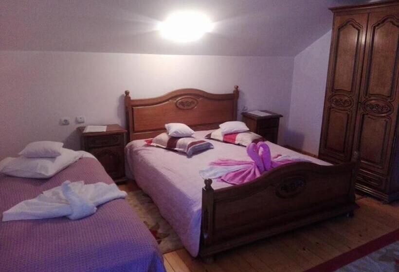 Пансион Grandemi Belvedere Bucovina