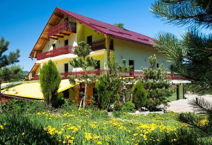 Пансион Grandemi Belvedere Bucovina