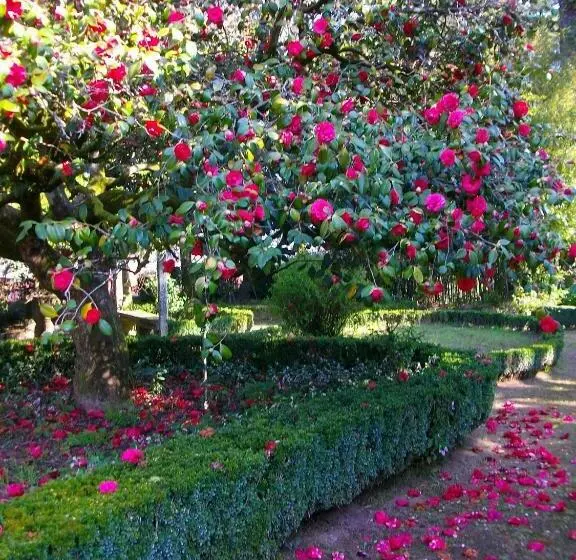 Majatalo Quarto Das Lamparinas