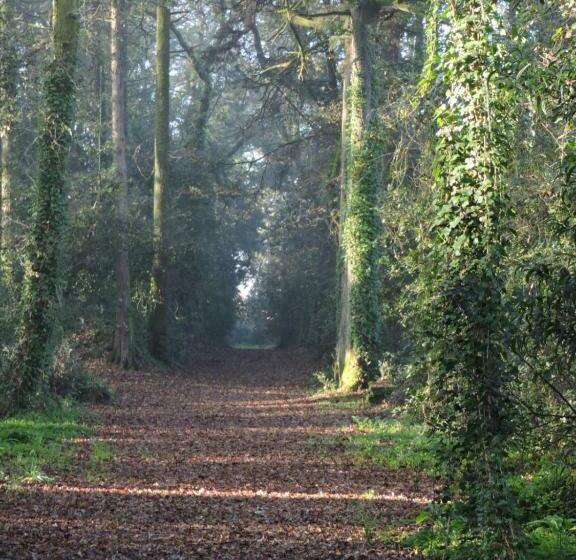 Pensionat Quarto Das Lamparinas