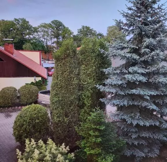 پانسیون Renau