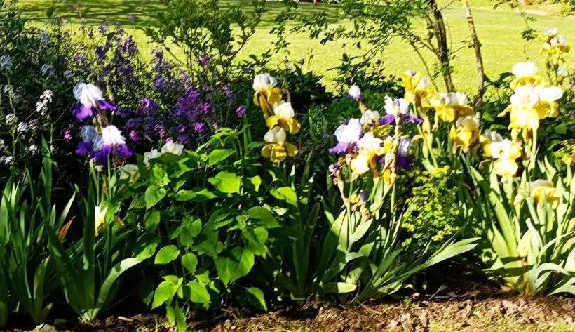 ベッドアンドブレックファースト Chambre D Hôtes Au Jardin De La Bachellerie