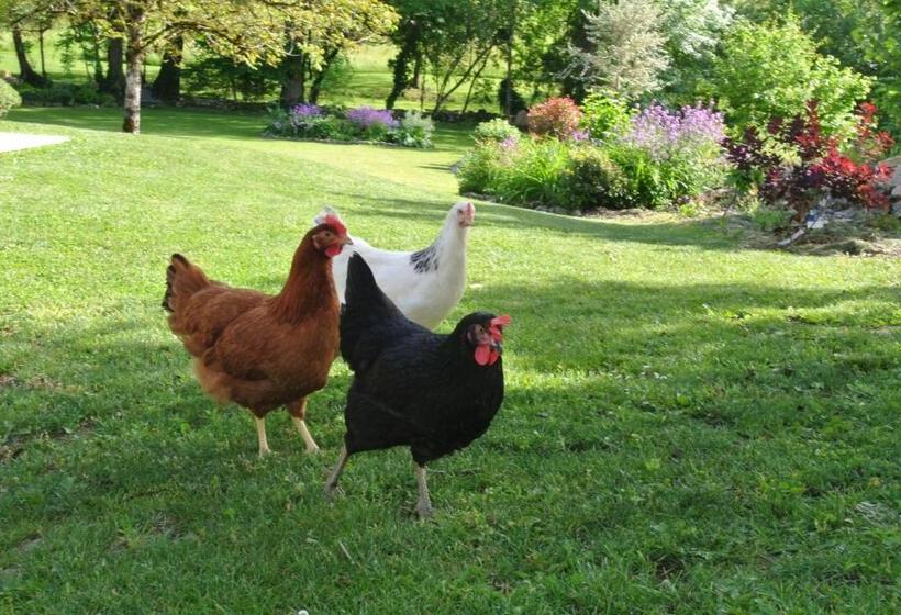 Bed and Breakfast Chambre D Hôtes Au Jardin De La Bachellerie