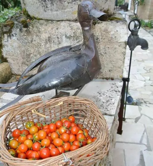 ベッドアンドブレックファースト Chambre D Hôtes Au Jardin De La Bachellerie