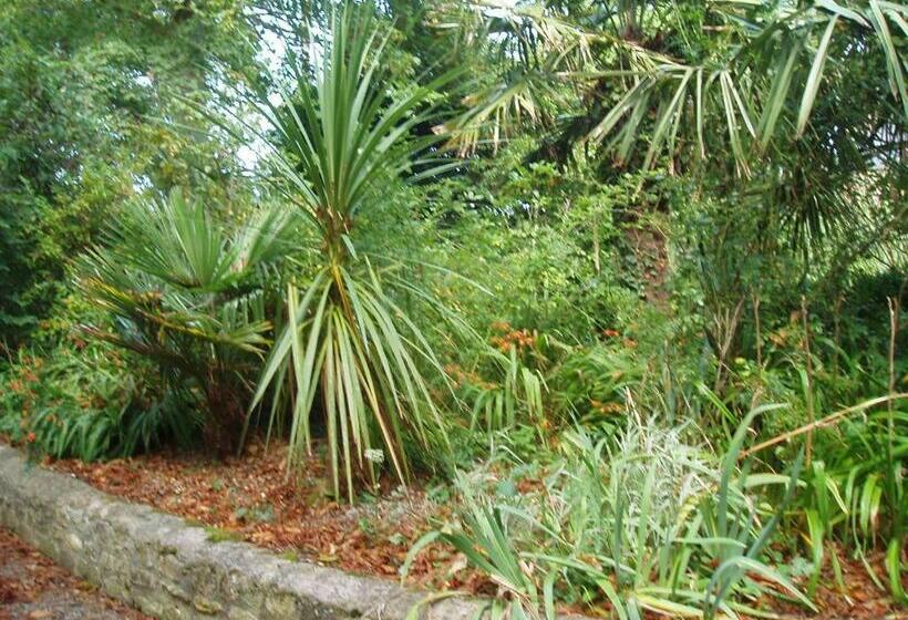 ベッドアンドブレックファースト Chateau Des Poteries