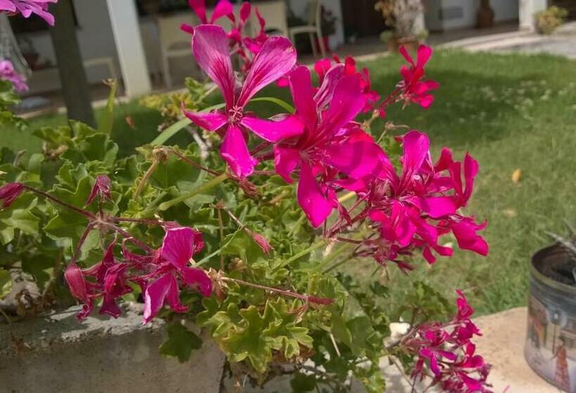 Bed and Breakfast Perla