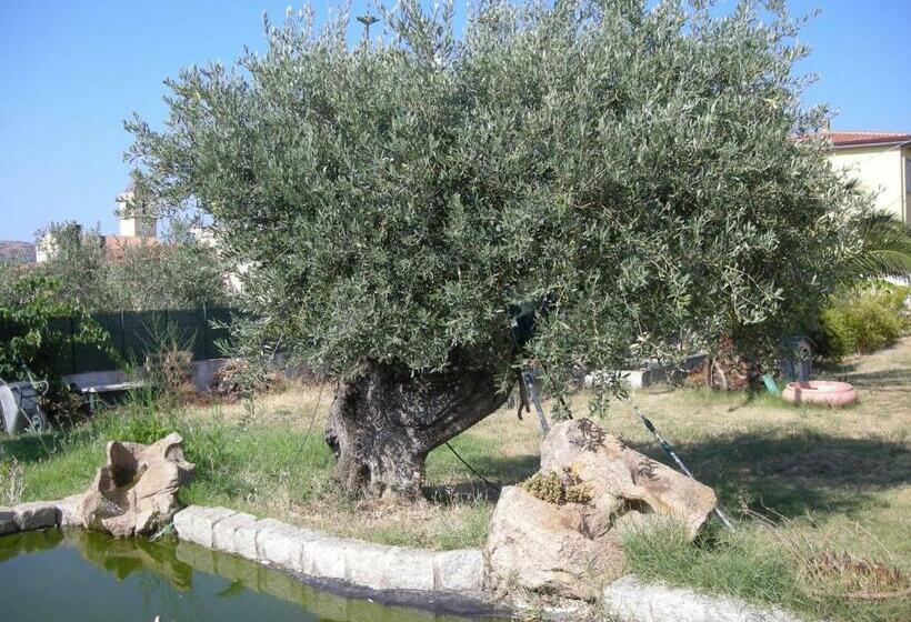 Bed and Breakfast Perla