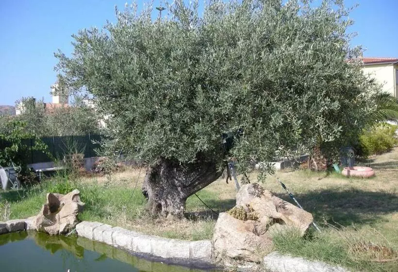 Aamiaismajoitus (B&B) Perla