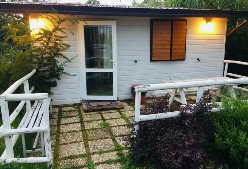 Oasi Di Francesca B&b