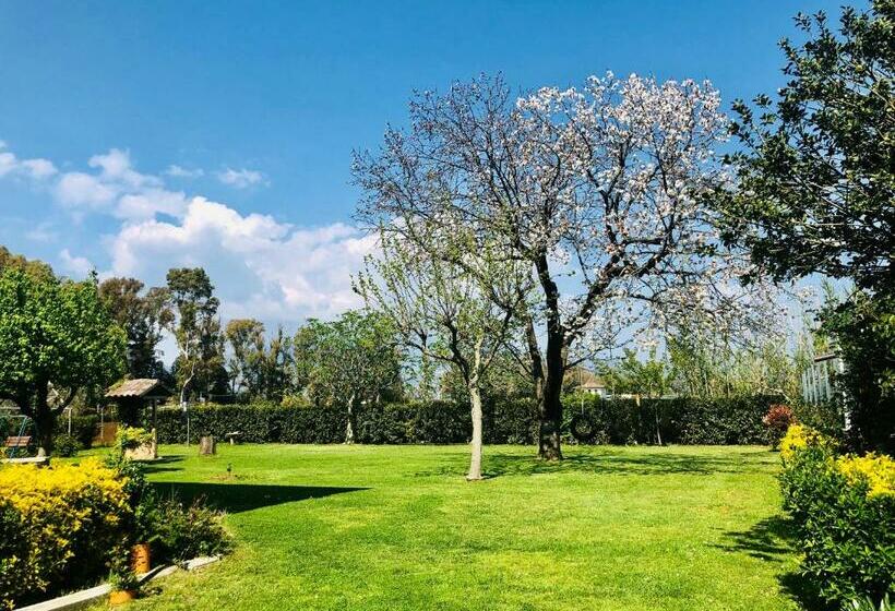 Oasi Di Francesca B&b