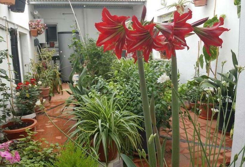 Pensión Algarrobeña