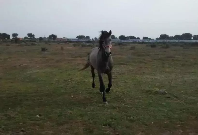Pensión El Abuelo