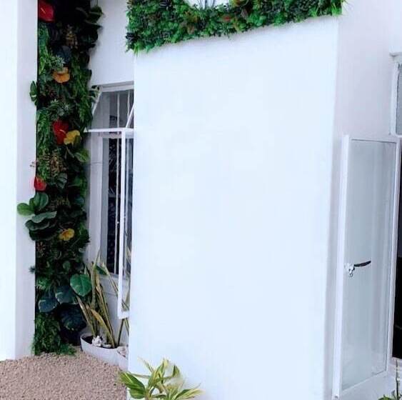 Pension Cocoon Paradise