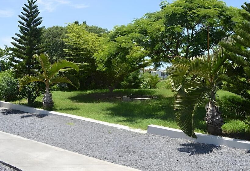 Pension Cocoon Paradise