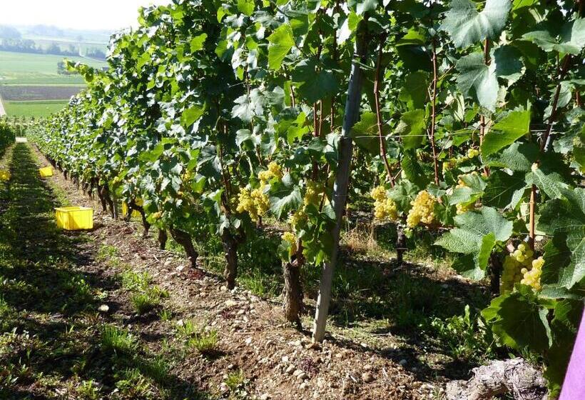 민박 Bnb Tuileries