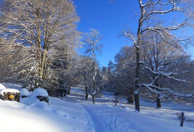 민박 Bnb Tuileries