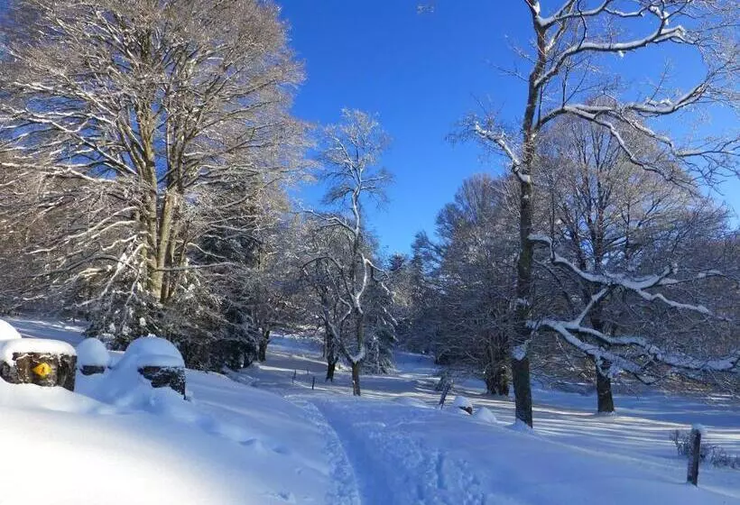 ベッドアンドブレックファースト Bnb Tuileries