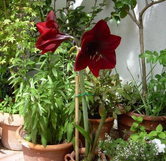 住宿加早餐 River Ebro Holidays