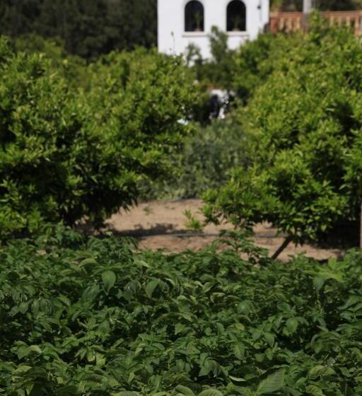 住宿加早餐 River Ebro Holidays