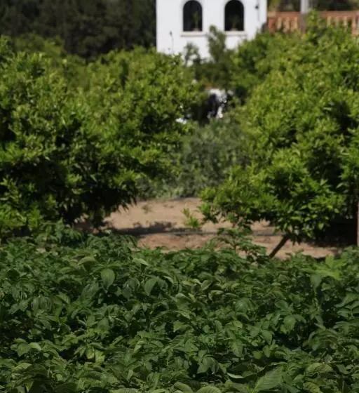 Aamiaismajoitus (B&B) River Ebro Holidays