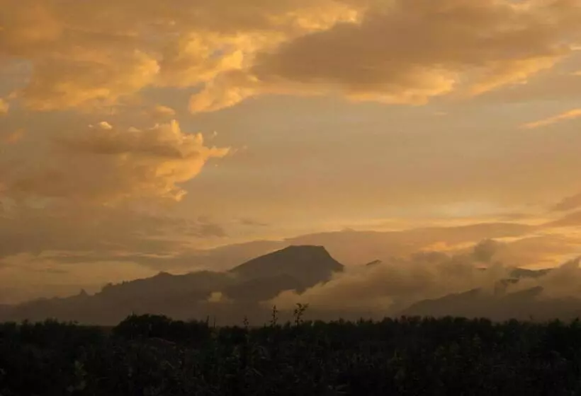 Aamiaismajoitus (B&B) River Ebro Holidays