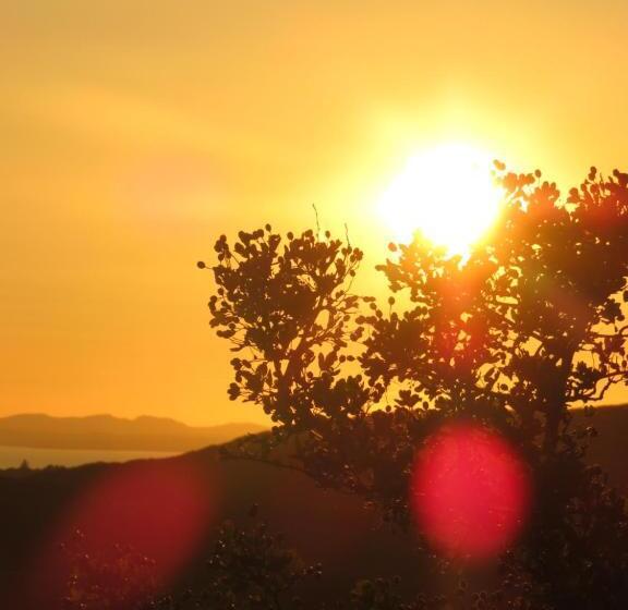 Garth Engan Private Self Contained B&b With Garden Area