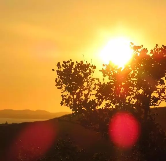 Garth Engan Private Self Contained B&b With Garden Area