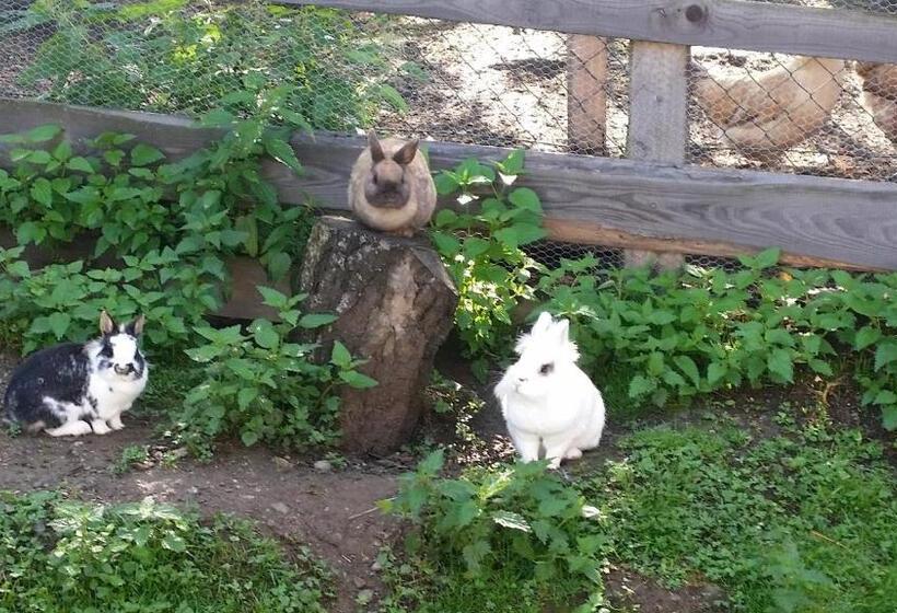 ホテル Stockreiter Vulgo Grillschmied