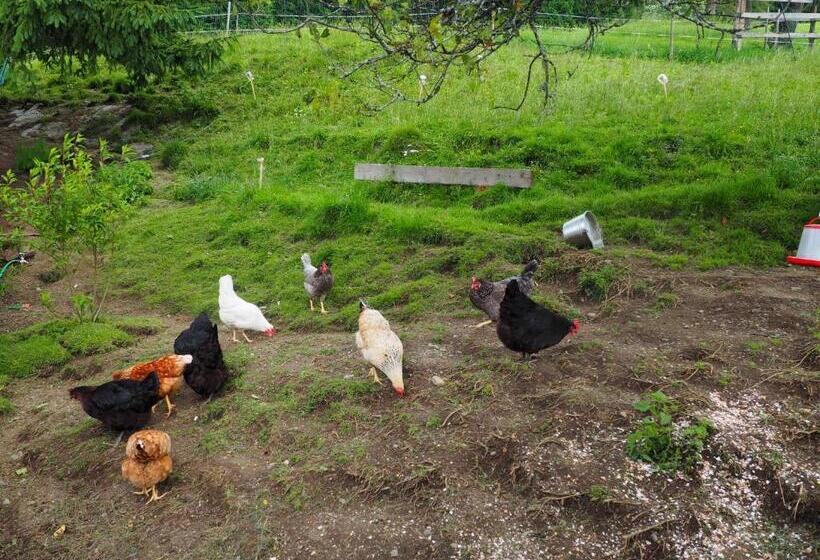 ホテル Stockreiter Vulgo Grillschmied