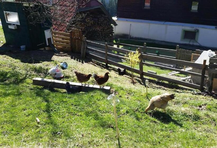 ホテル Stockreiter Vulgo Grillschmied