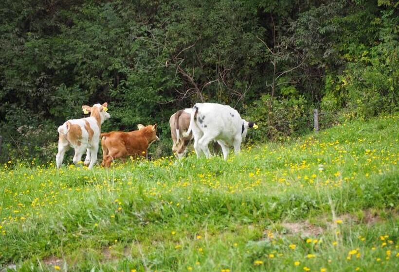 ホテル Stockreiter Vulgo Grillschmied