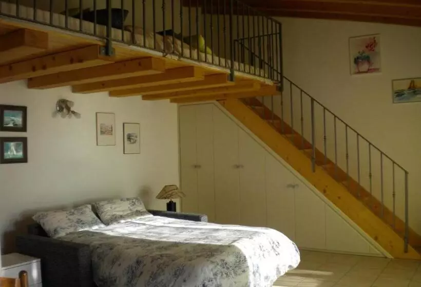 B&b Camister