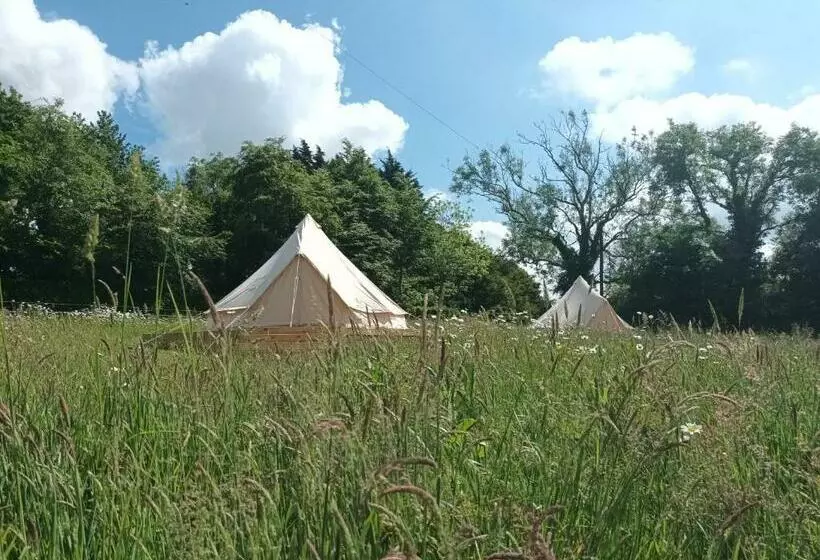 تختخواب و صبحانه Ferry House Holidays