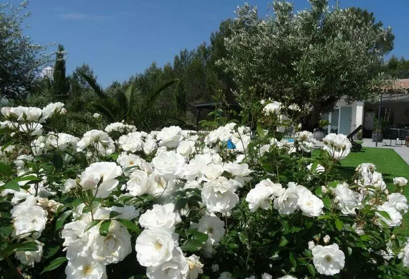 L Olivadou B&b