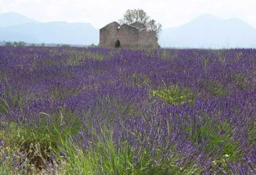 L Olivadou B&b
