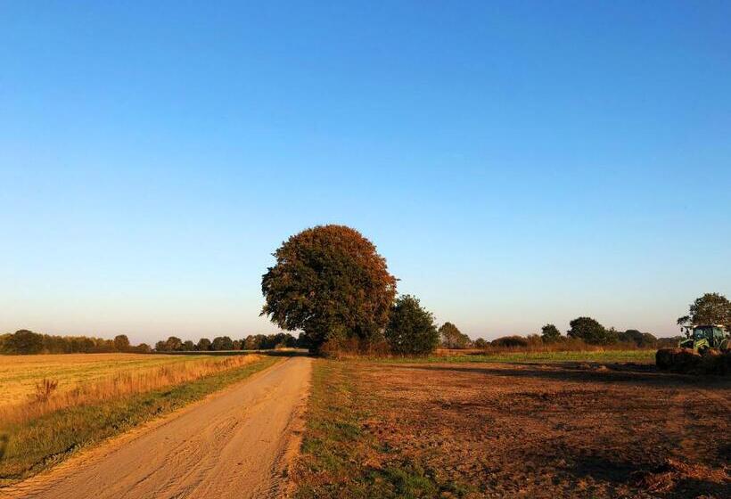 Пансион Intergo   Zimmer Mit Privatem Bad & Gemeinschaftsküche