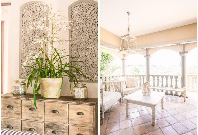 פנסיון Lilyrose Bed & Breakfast