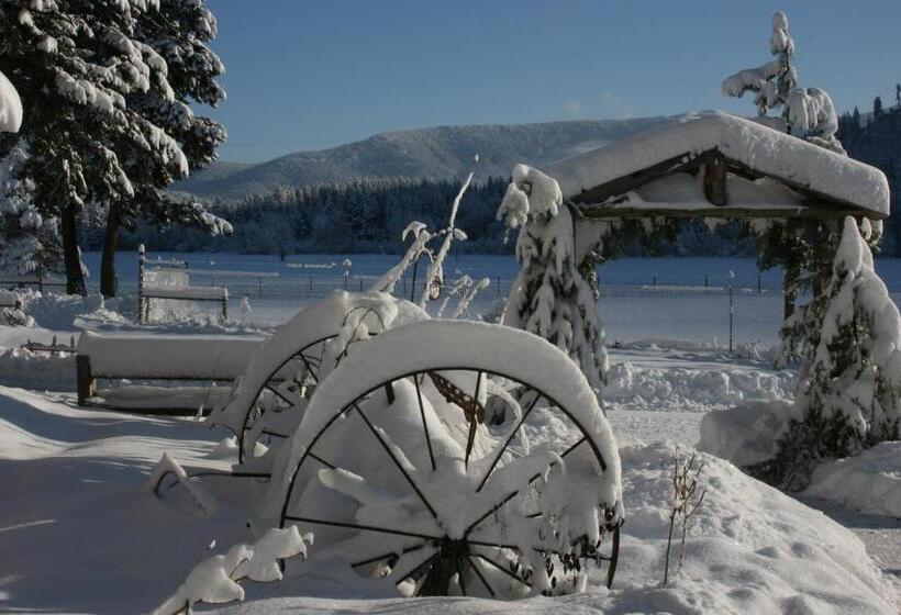 Cedar Mountain Farm Bed And Breakfast Llc