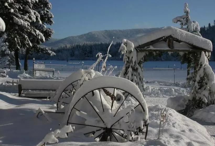 Cedar Mountain Farm Bed And Breakfast Llc