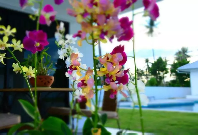 Mango Beach Resort Thailand