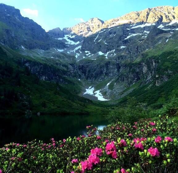 Пансион Elisabeth Serfaus Inkl Der Super Sommer Card Im Sommer 2025