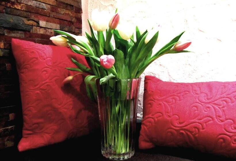 Пансион Elisabeth Serfaus Inkl Der Super Sommer Card Im Sommer 2025