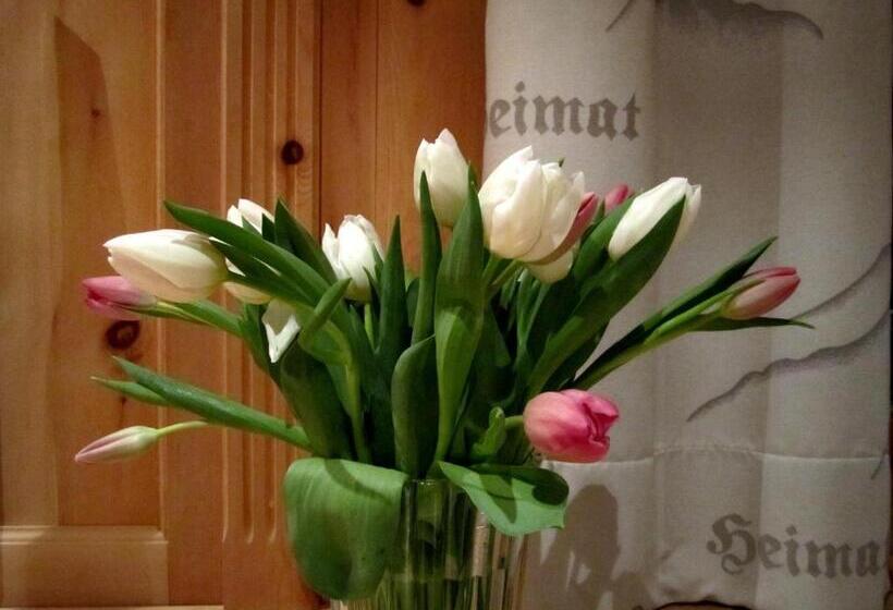 Пансион Elisabeth Serfaus Inkl Der Super Sommer Card Im Sommer 2025