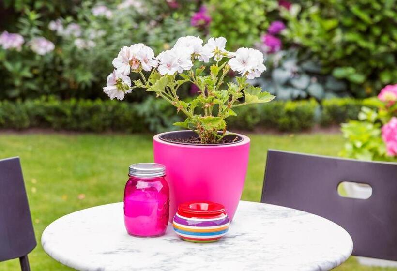 مبيت وإفطار Bij Jans