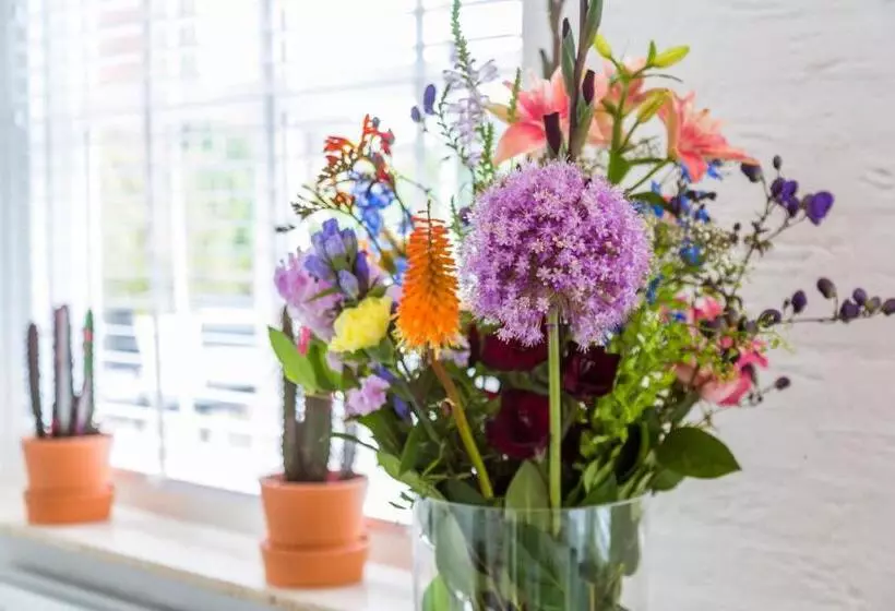 Aamiaismajoitus (B&B) Bij Jans