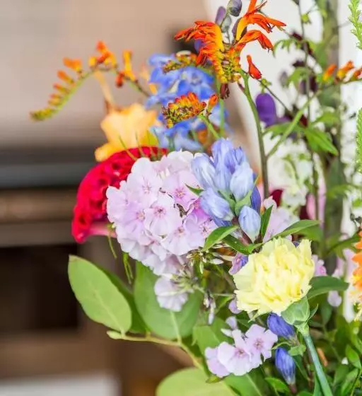 Aamiaismajoitus (B&B) Bij Jans